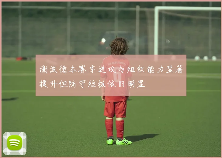 谢泼德本赛季进攻与组织能力显著提升但防守短板依旧明显