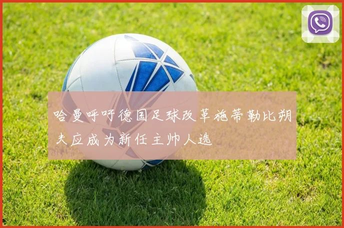 哈曼呼吁德国足球改革施蒂勒比朔夫应成为新任主帅人选
